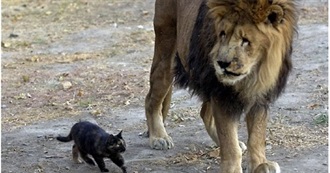 SAKURA&#39;S &quot;TO READ&quot; ~ CHILDREN&#39;S &amp; YA