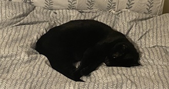 Pearls That Were Eyes Book List