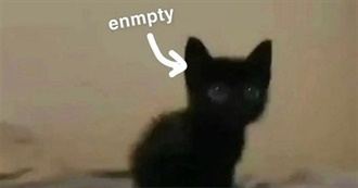 Neibolt-Werewolf&#39;s Movies