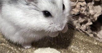 Eve&#39;s (First) 100 Albums Hehehe &#128125;