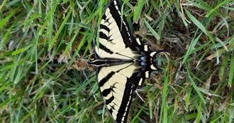 Books on Chelsa's To-Be-Read List