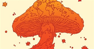 Wish List? Another TBR? Simple Delusion?