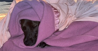 Philtatos-Beloved&#39;s Favourite Movies