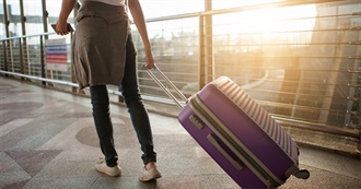 Where Y Went and What She Did 2021