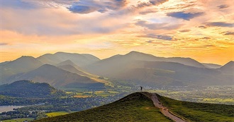 The Books Margo Read in 2025