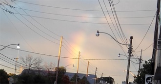 MJJ&#39;s in Memory Yet Green