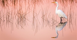 Read With Jenna Book Club