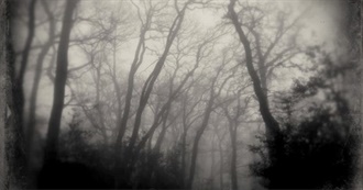 ˖ ࣪⊹ Fatherwounds Top 100 Films ཐིཋྀ ˖ ࣪⊹