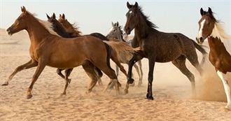 Abbey's 30 Favourite Horse Breeds