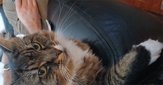 Reggie&#39;s Beloved Stuff