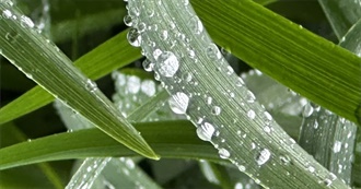 Jolene&#39;s 50 Favorite Movies Pt.1