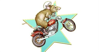 100 Books About Animals