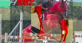 Books Laura Has Borrowed That Are Piled Up in Her Room!!