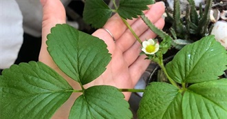 50 Movies A&#39;s Loved