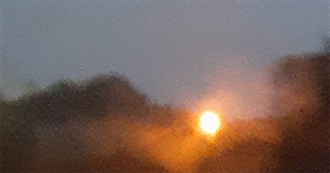 Beetle&#39;s 2025 Books