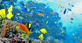 Aquariums to Visit Before You Die