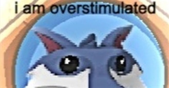 POM&#39;s AWESOME ALBUMS