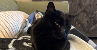 Alice&#39;s TV ❤️ List