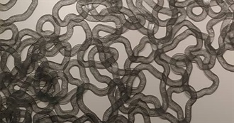 What Zoe Got for the Holidays