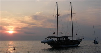 40 Movies From 40 Countries (Turkey, Brazil, France, Et Al)