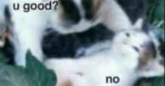 Cambiaaaaaa&#39;s List