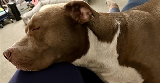 Countessmary&#39;s Top 103