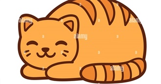 10 Top Favorite Animals