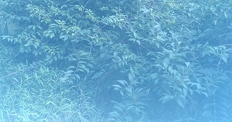 Things That Have Been Impactful to Me