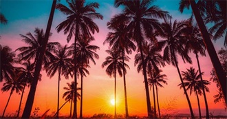 Film&#39;s to Watch When It&#39;s Summer