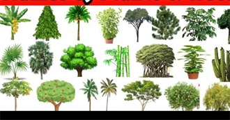 Trees and Plants in the Title