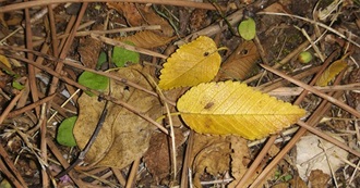 50 Favourite Mind-Blowing Movies