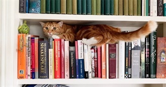 K&#39;s Physical TBR - YA Novels