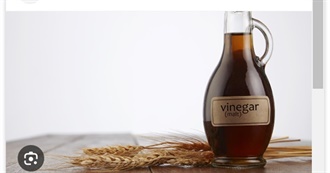 Big T&#39;s Food Eaten Today 637