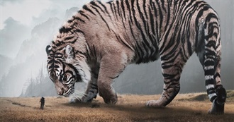 Riddle&#39;s Favorite Movies