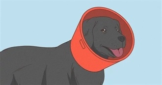 Films Bird-Bureau Has Seen