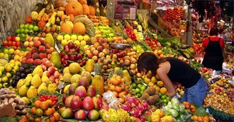 Top 55 Fruits Known by Nolan (Alphabetical)