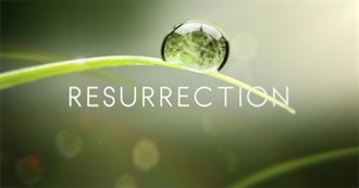 Have You Seen These Shows?