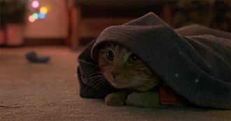 Synobun&#39;s Top-Rated Movies on Letterboxd