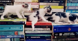 Jasmine&#39;s Book Recommendations (Fiction)