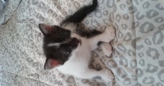 Just a Few Movies That Jenny Has Seen