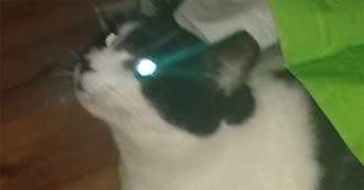 Movies That Made Staying Alive Worth It