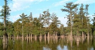 Important Bird Areas: Mississippi Alluvial Valley