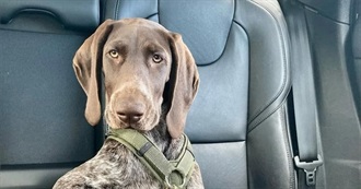 R's Delightful Books 1946-2025