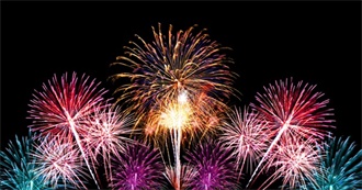 Things Maria Did This Year