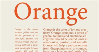 Orange Trees &#127818;
