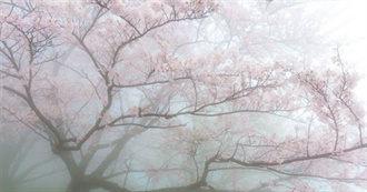 Updated! Gaia&#39;s Library Has More Than Ever!