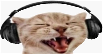 Iselin&#39;s 50 Fave Artists/Bands