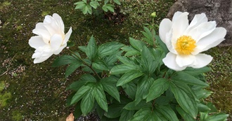 January to March 24 Movies