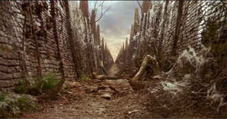 Lemon Has Watched Things