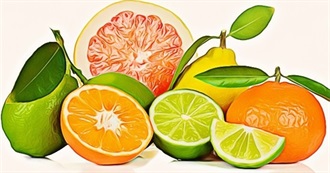 Citrus Fruits!